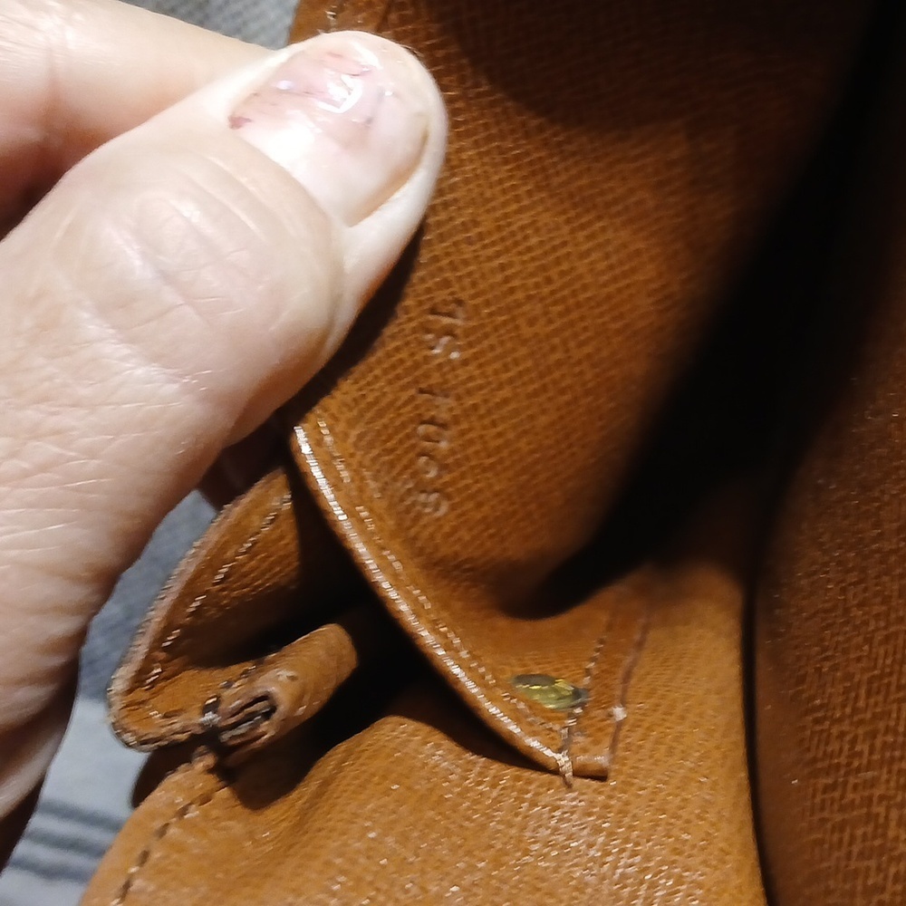 Louis Vuitton Monogram Crossbody Bag - Picture 12 of 14